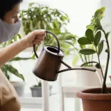 Kobieta w maseczce podlewa kwiaty z konewki. Czy można podlewać kwiaty wodą gazowaną? To pytanie nurtuje wielu ogrodników.