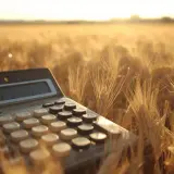 Kalkulator w zbożu, symbolizujący obliczenia plonów i hektar przeliczeniowy.