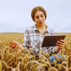 Młoda agronomka w kratowanej koszuli analizuje dane na tablecie, trzymając w dłoni kłos pszenicy na polu.