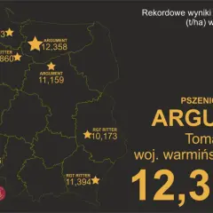 Mapa Polski z wynikami plonowania pszenicy ozimej. Najwyższy wynik to 12,358 t/ha odmiany ARGUMENT w woj. warmińsko-mazurskim.