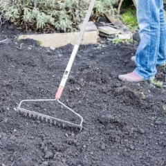 Osoba w dżinsach i różowych butach używa grabi do spulchniania ciemnej, żyznej gleby w ogrodzie.