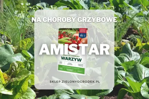 Amistar oprysk na choroby grzybowe warzyw. Zdjęcie przedstawia zdrowy ogród z warzywami i opakowanie preparatu.