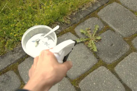 Domowy sposób na chwasty w kostce brukowej: biały proszek w pojemniku i spryskiwacz.