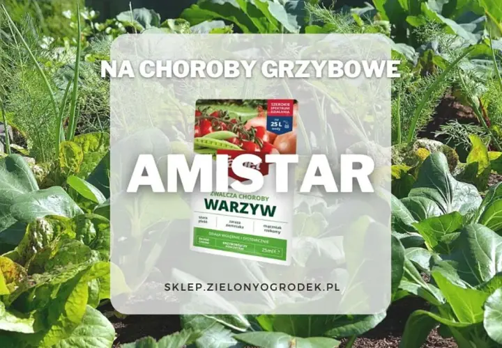 Amistar oprysk na choroby grzybowe warzyw. Zdjęcie przedstawia zdrowy ogród z warzywami i opakowanie preparatu.