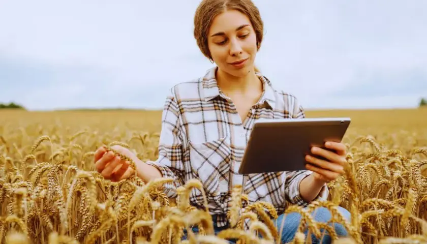 Młoda agronomka w kratowanej koszuli analizuje dane na tablecie, trzymając w dłoni kłos pszenicy na polu.