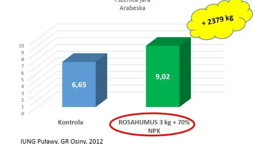 Jak uzupełnić fosfor w glebie, aby poprawić zdrowie roślin?