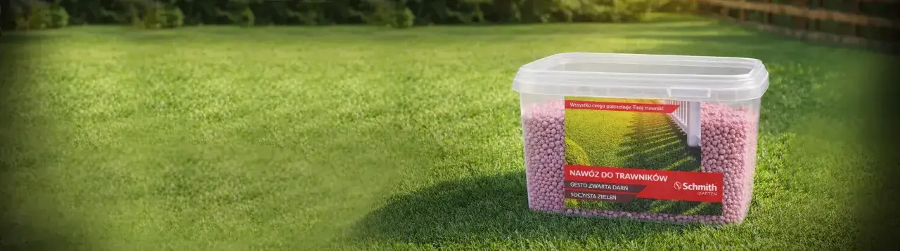Nawóz do trawników w plastikowym pojemniku, który pomoże Twojej trawie rosnąć gęsto i soczyście.